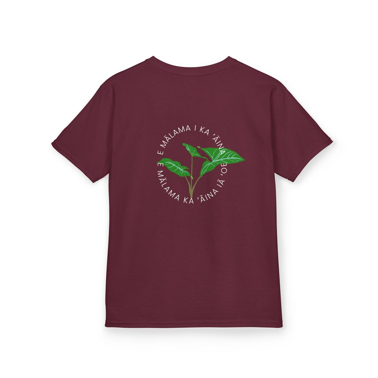 E mālama i ka ʻāina, e mālama ka ʻāina iā ʻoe (Care for the land, and the land will care for you) Youth T-Shirt