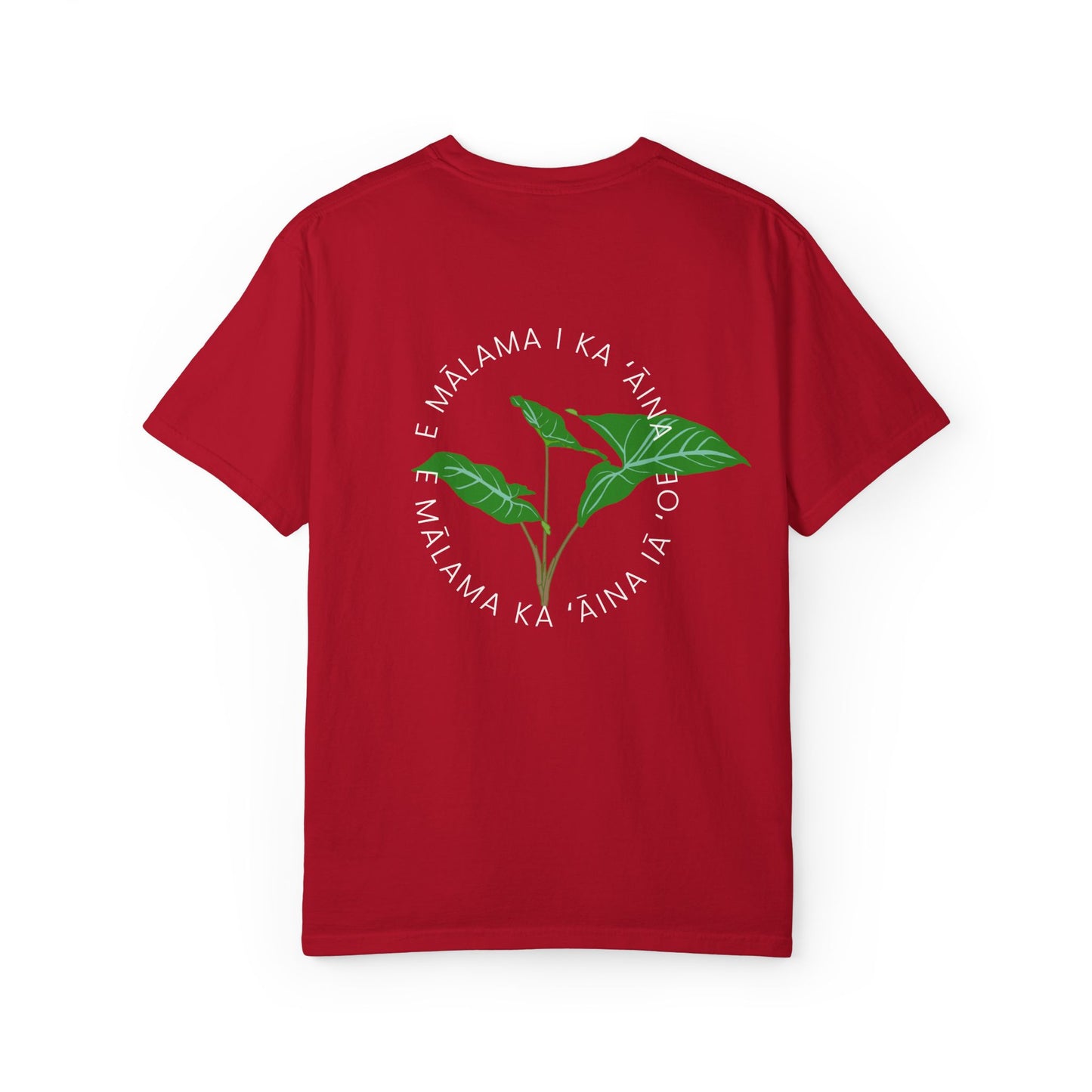 E mālama i ka ʻāina, e mālama ka ʻāina iā ʻoe (Care for the land, and the land will care for you) Mens T-Shirt
