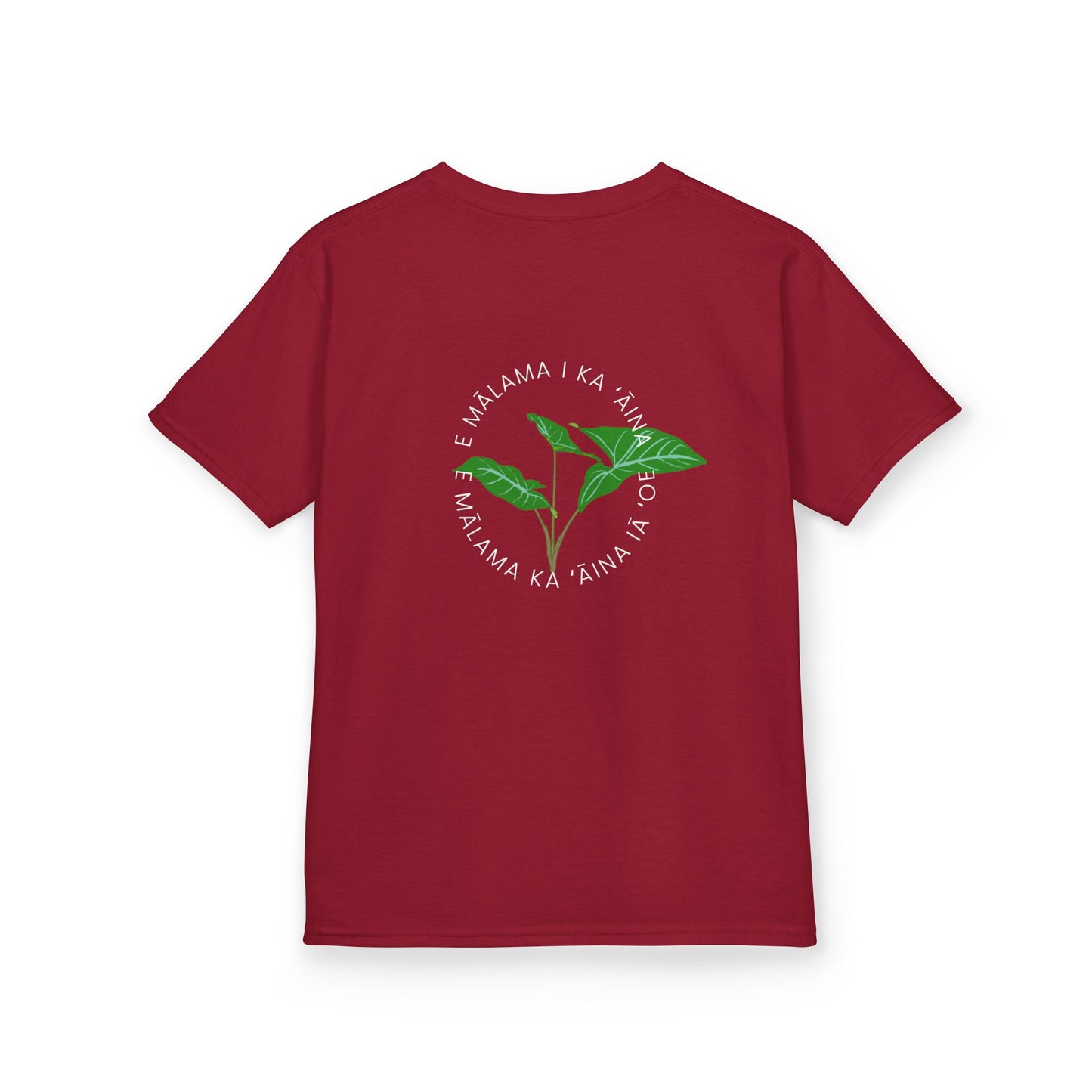 E mālama i ka ʻāina, e mālama ka ʻāina iā ʻoe (Care for the land, and the land will care for you) Youth T-Shirt