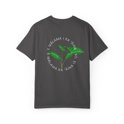 E mālama i ka ʻāina, e mālama ka ʻāina iā ʻoe (Care for the land, and the land will care for you) Mens T-Shirt