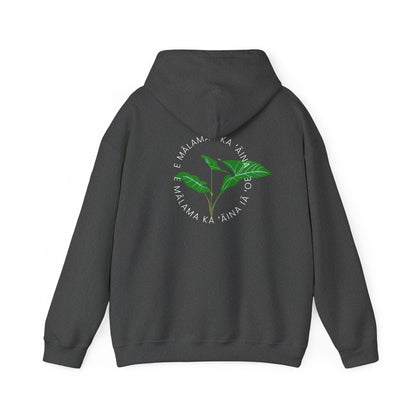 E mālama i ka ʻāina, e mālama ka ʻāina iā ʻoe (Care for the land, and the land will care for you) Sweatshirt
