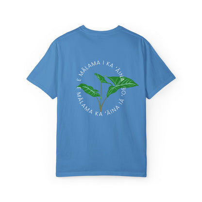 E mālama i ka ʻāina, e mālama ka ʻāina iā ʻoe (Care for the land, and the land will care for you) Mens T-Shirt