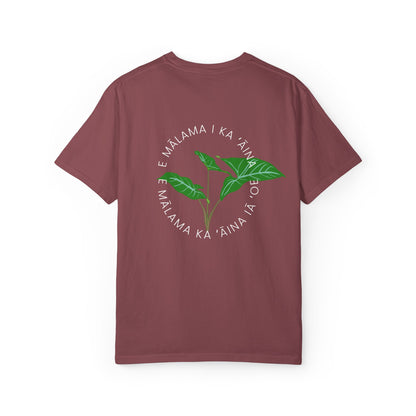 E mālama i ka ʻāina, e mālama ka ʻāina iā ʻoe (Care for the land, and the land will care for you) Mens T-Shirt