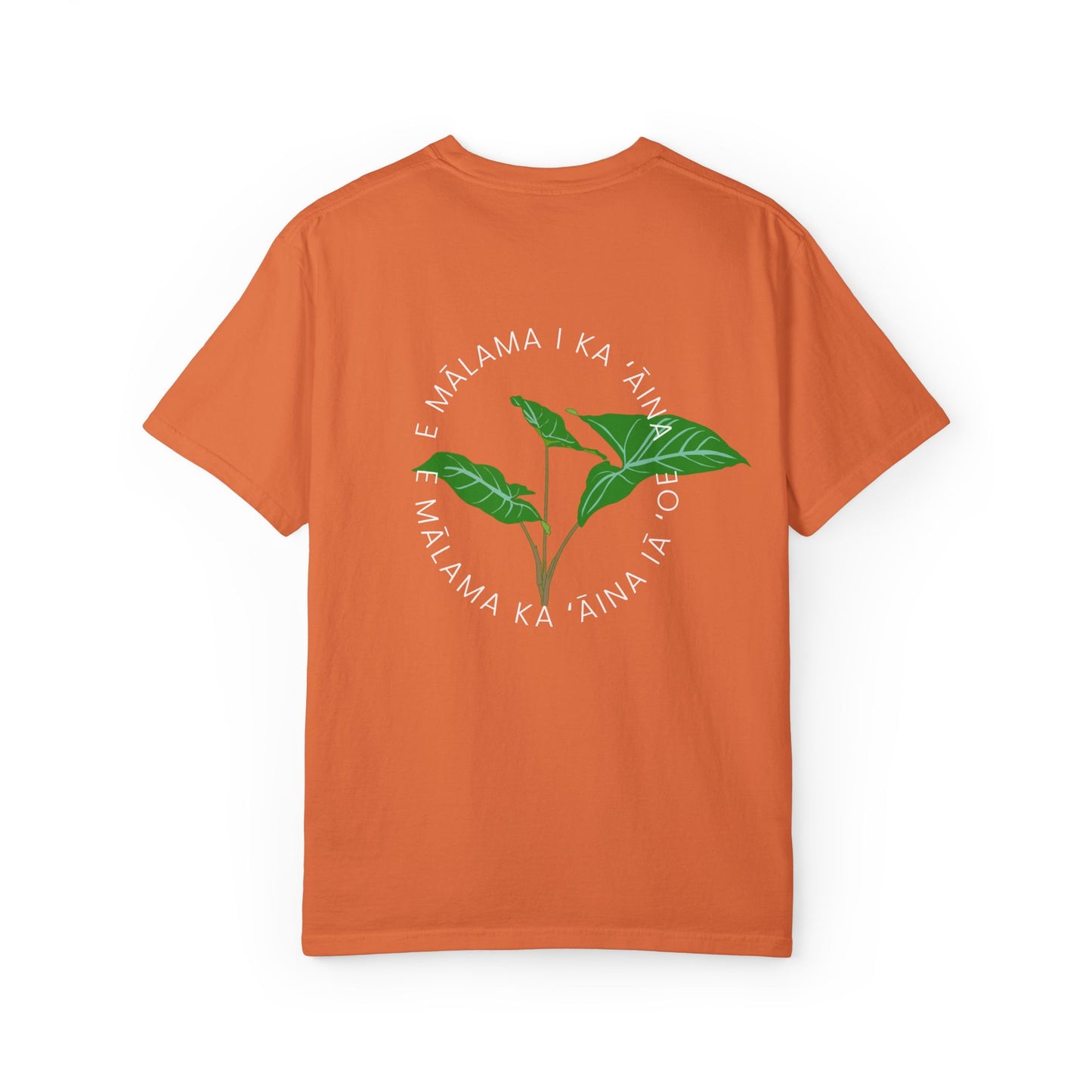 E mālama i ka ʻāina, e mālama ka ʻāina iā ʻoe (Care for the land, and the land will care for you) Mens T-Shirt
