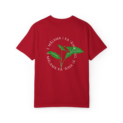E mālama i ka ʻāina, e mālama ka ʻāina iā ʻoe (Care for the land, and the land will care for you) Mens T-Shirt