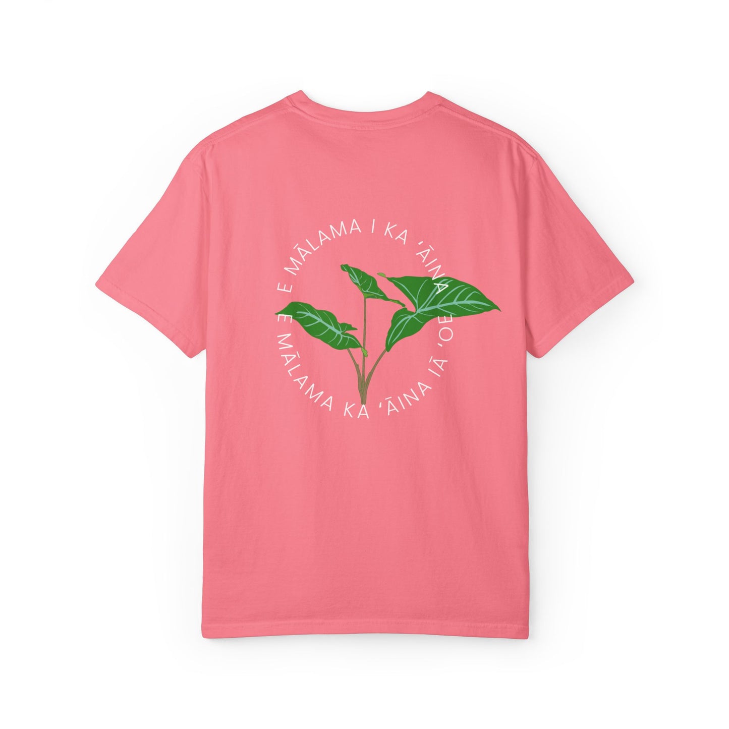 E mālama i ka ʻāina, e mālama ka ʻāina iā ʻoe (Care for the land, and the land will care for you) Mens T-Shirt