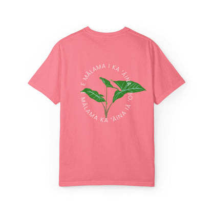 E mālama i ka ʻāina, e mālama ka ʻāina iā ʻoe (Care for the land, and the land will care for you) Mens T-Shirt